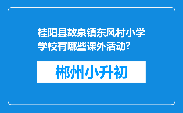 桂阳县敖泉镇东风村小学学校有哪些课外活动？