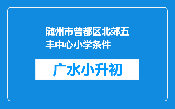 随州市曾都区北郊五丰中心小学条件