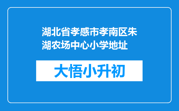 湖北省孝感市孝南区朱湖农场中心小学地址