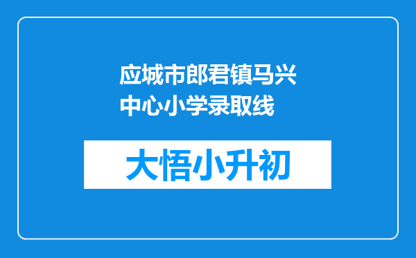 应城市郎君镇马兴中心小学录取线