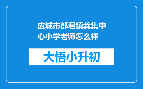 应城市郎君镇龚集中心小学老师怎么样