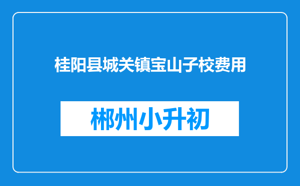 桂阳县城关镇宝山子校费用