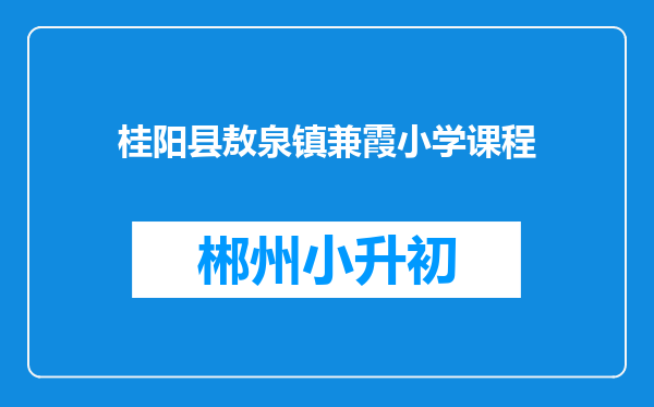 桂阳县敖泉镇兼霞小学课程