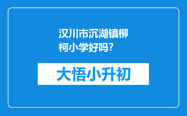 汉川市沉湖镇柳柯小学好吗？