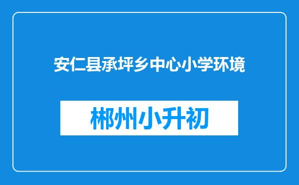 安仁县承坪乡中心小学环境