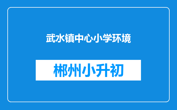 武水镇中心小学环境