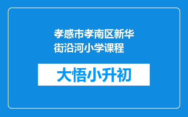 孝感市孝南区新华街沿河小学课程