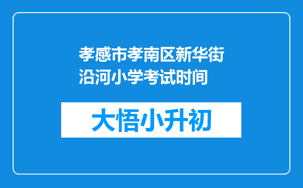 孝感市孝南区新华街沿河小学考试时间