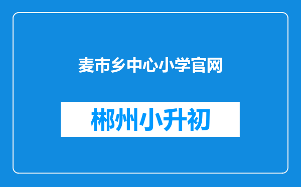 麦市乡中心小学官网