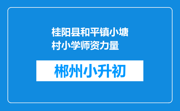 桂阳县和平镇小塘村小学师资力量