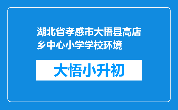 湖北省孝感市大悟县高店乡中心小学学校环境