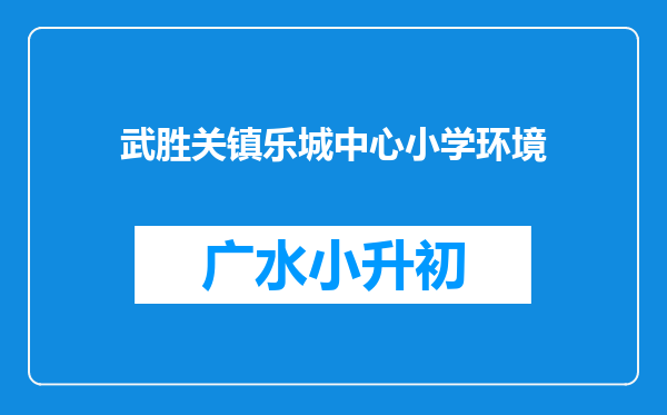 武胜关镇乐城中心小学环境