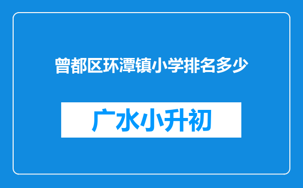 曾都区环潭镇小学排名多少