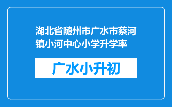 湖北省随州市广水市蔡河镇小河中心小学升学率