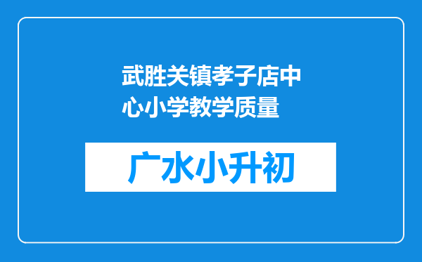 武胜关镇孝子店中心小学教学质量