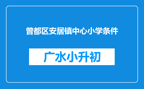 曾都区安居镇中心小学条件