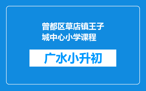 曾都区草店镇王子城中心小学课程