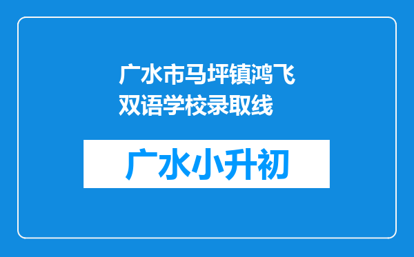 广水市马坪镇鸿飞双语学校录取线