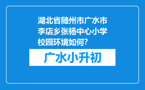 湖北省随州市广水市李店乡张杨中心小学校园环境如何？