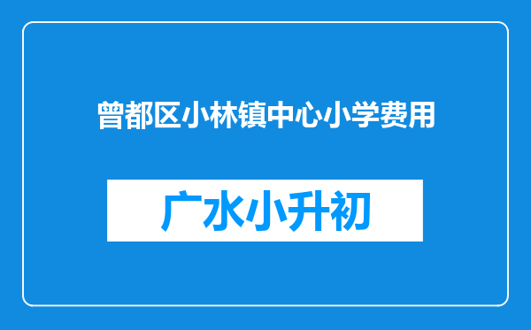 曾都区小林镇中心小学费用