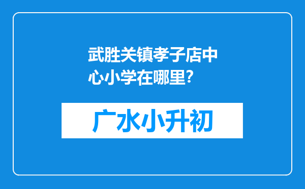 武胜关镇孝子店中心小学在哪里？