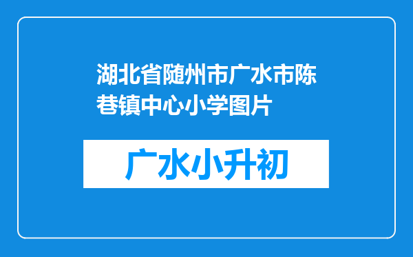 湖北省随州市广水市陈巷镇中心小学图片