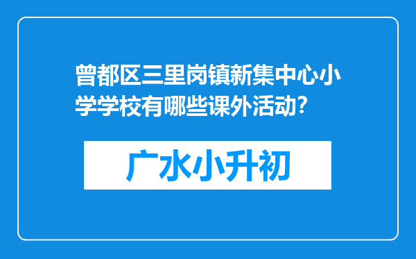 曾都区三里岗镇新集中心小学学校有哪些课外活动？