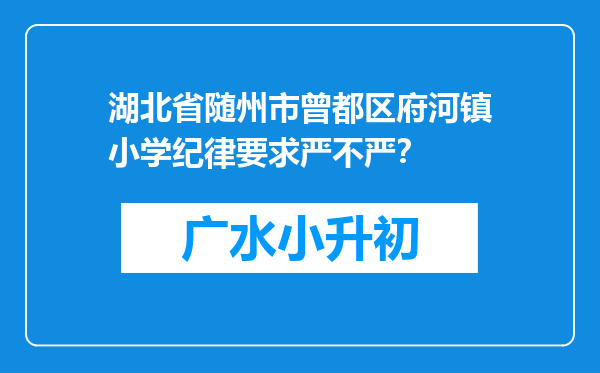 湖北省随州市曾都区府河镇小学纪律要求严不严？