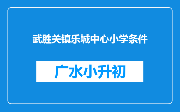 武胜关镇乐城中心小学条件