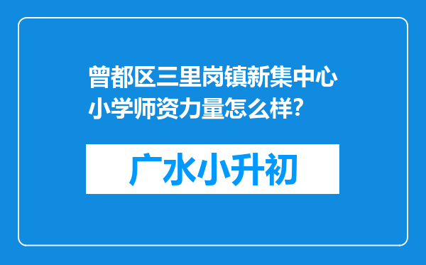 曾都区三里岗镇新集中心小学师资力量怎么样？