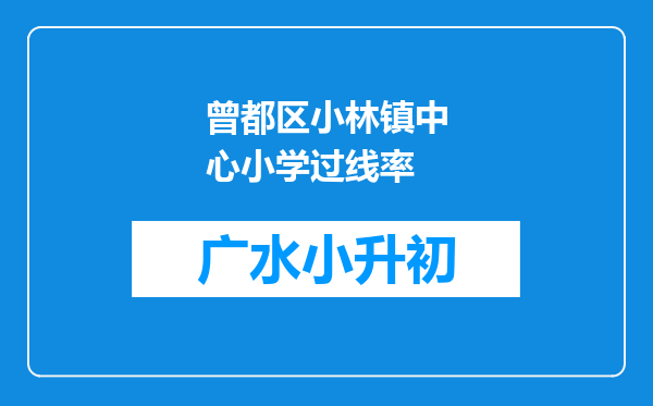 曾都区小林镇中心小学过线率