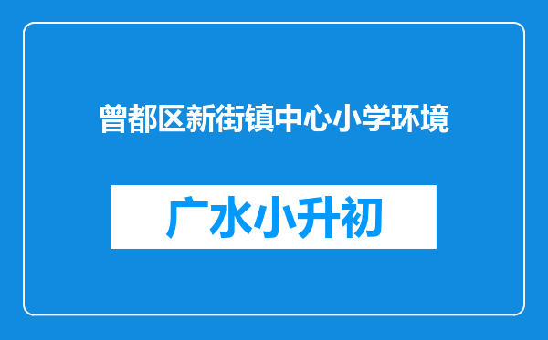 曾都区新街镇中心小学环境