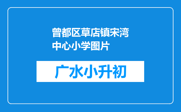 曾都区草店镇宋湾中心小学图片