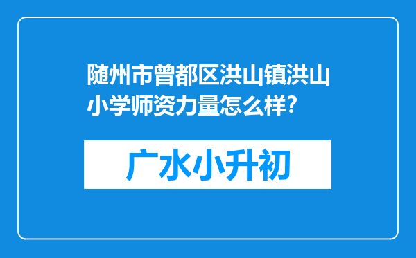 随州市曾都区洪山镇洪山小学师资力量怎么样？