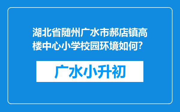 湖北省随州广水市郝店镇高楼中心小学校园环境如何？