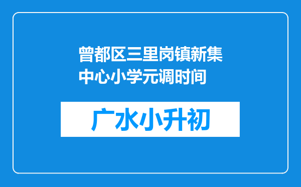 曾都区三里岗镇新集中心小学元调时间