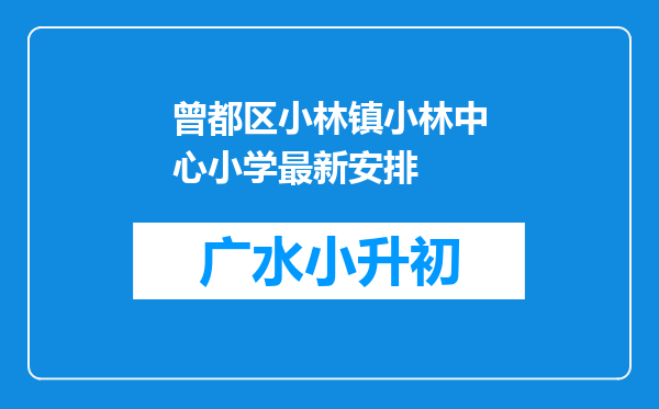 曾都区小林镇小林中心小学最新安排