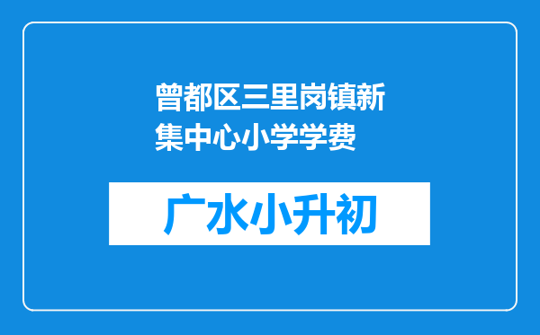 曾都区三里岗镇新集中心小学学费