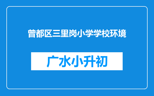 曾都区三里岗小学学校环境