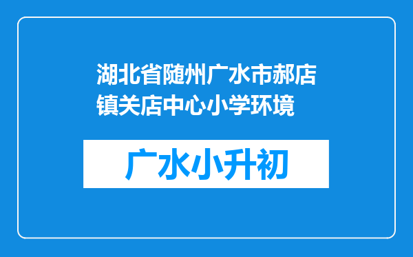 湖北省随州广水市郝店镇关店中心小学环境