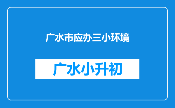 广水市应办三小环境