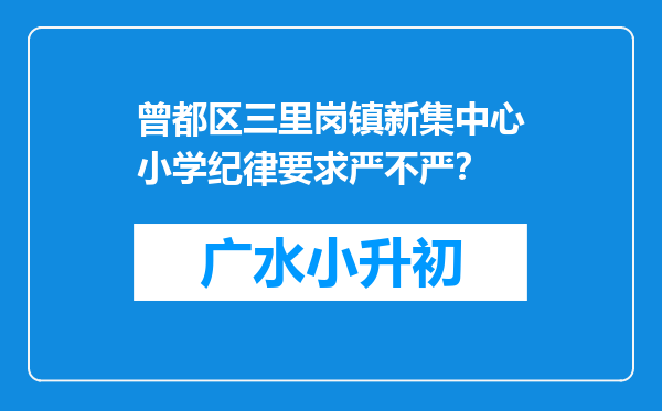 曾都区三里岗镇新集中心小学纪律要求严不严？