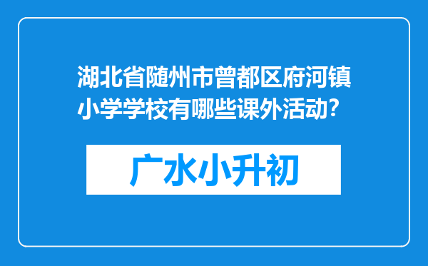 湖北省随州市曾都区府河镇小学学校有哪些课外活动？