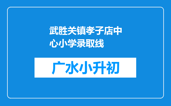 武胜关镇孝子店中心小学录取线