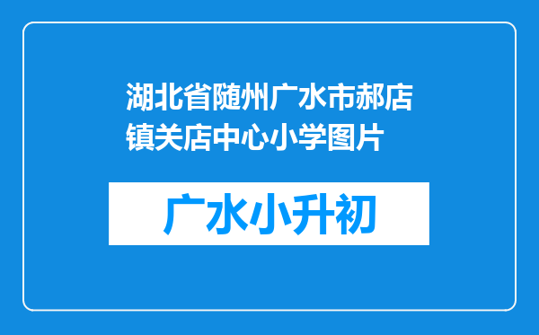 湖北省随州广水市郝店镇关店中心小学图片