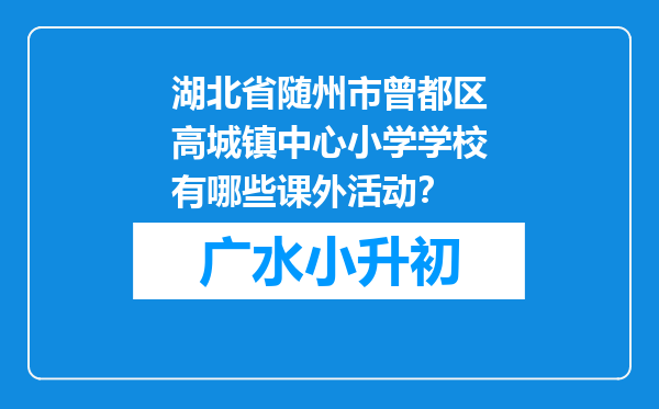 湖北省随州市曾都区高城镇中心小学学校有哪些课外活动？