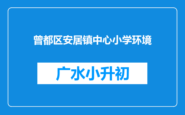 曾都区安居镇中心小学环境