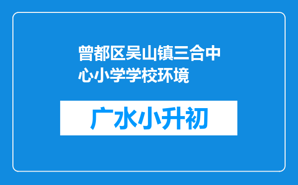 曾都区吴山镇三合中心小学学校环境