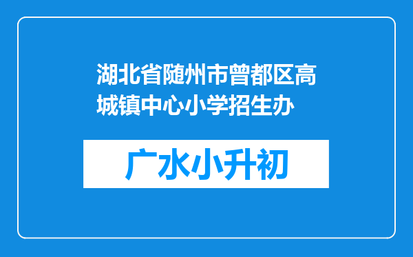 湖北省随州市曾都区高城镇中心小学招生办