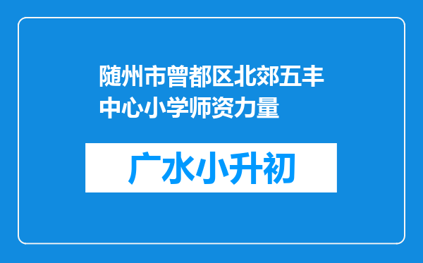 随州市曾都区北郊五丰中心小学师资力量